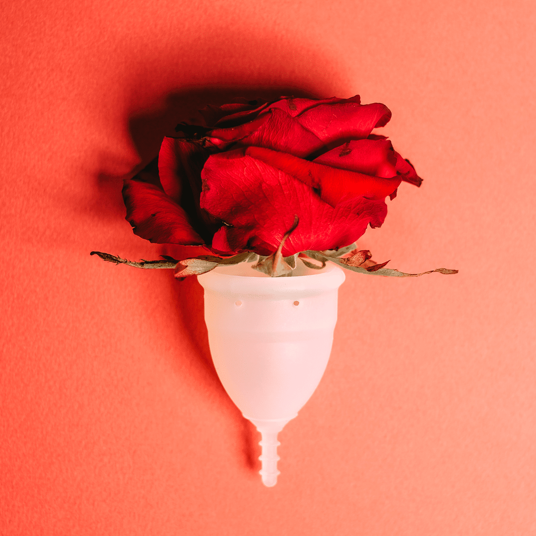 Ciclo Menstrual: coletor menstrual com uma rosa vermelha.